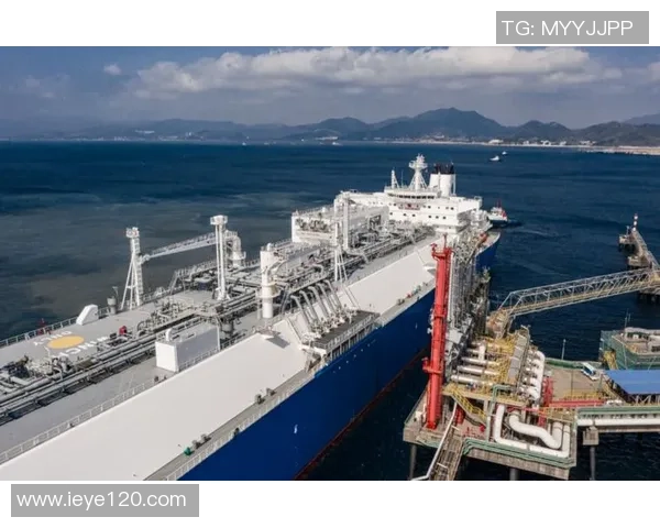 LNG在冠军杯中的比赛经验分析与表现评估