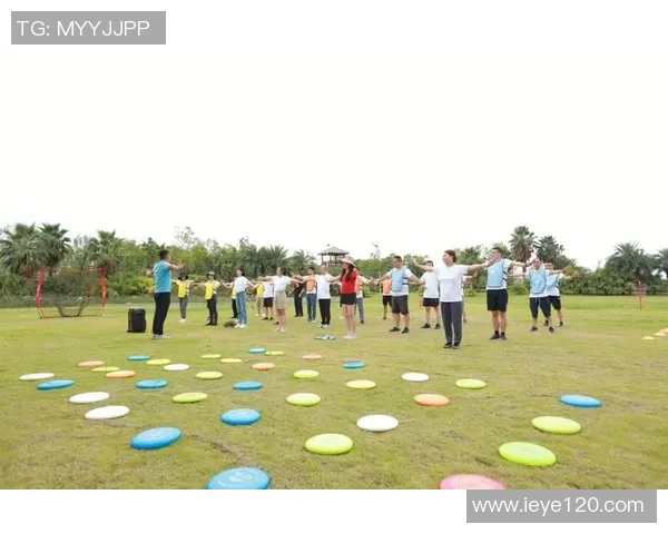 飞盘魅力揭秘：探索上海飞盘队的独特节奏与团队精神